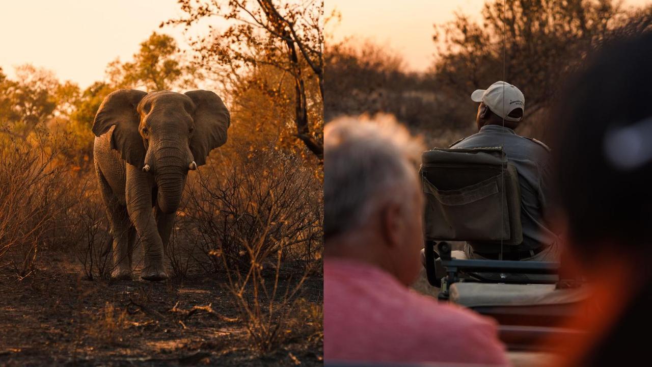 Geiger'S Camp In Timbavati Game Reserve By Newmark Dış mekan fotoğraf