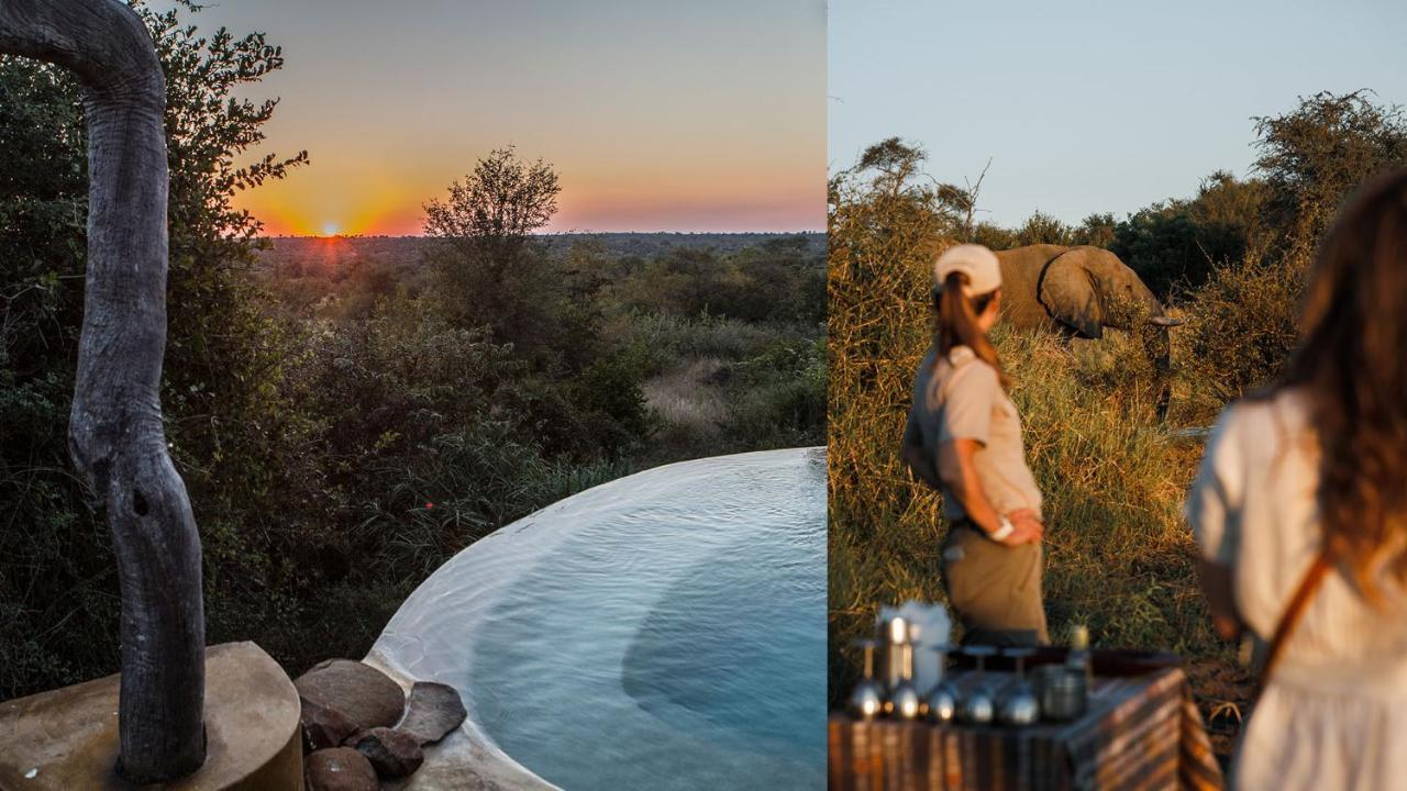 Geiger'S Camp In Timbavati Game Reserve By Newmark Dış mekan fotoğraf