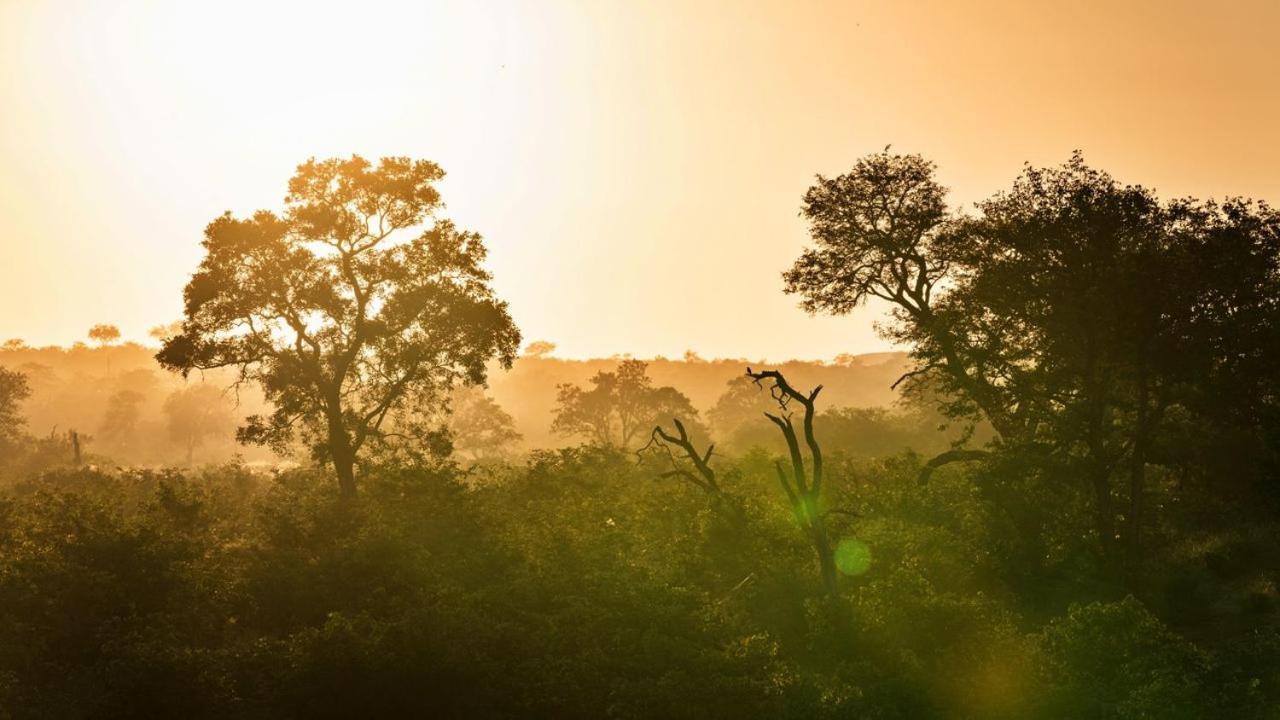 Geiger'S Camp In Timbavati Game Reserve By Newmark Dış mekan fotoğraf