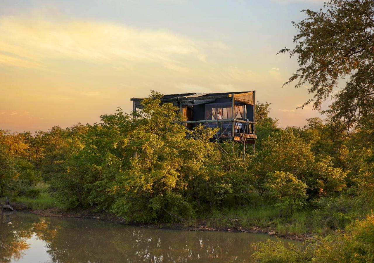 Geiger'S Camp In Timbavati Game Reserve By Newmark Dış mekan fotoğraf